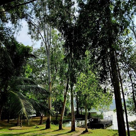 Nature'S Lake View Sigiriya Dambulla Exterior photo