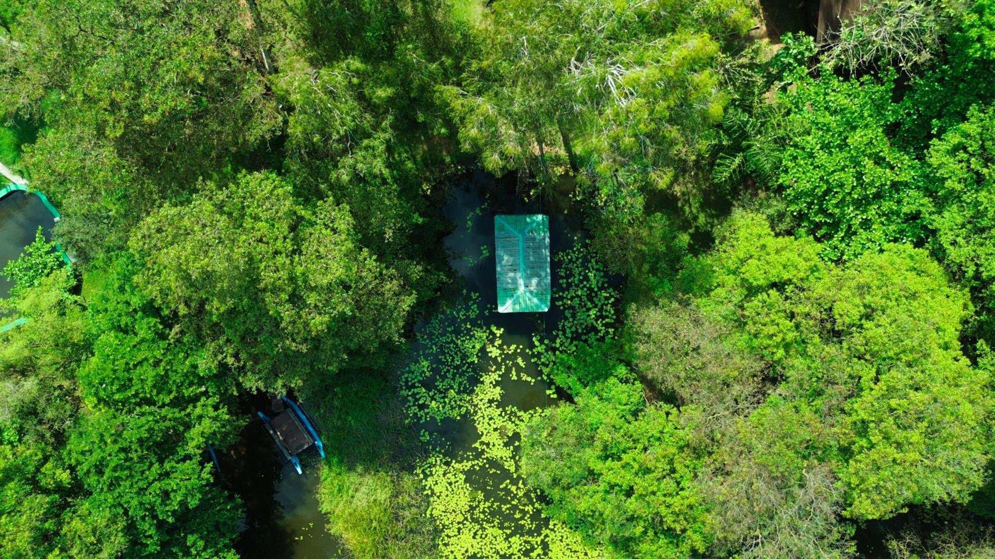 Nature'S Lake View Sigiriya Dambulla Exterior photo