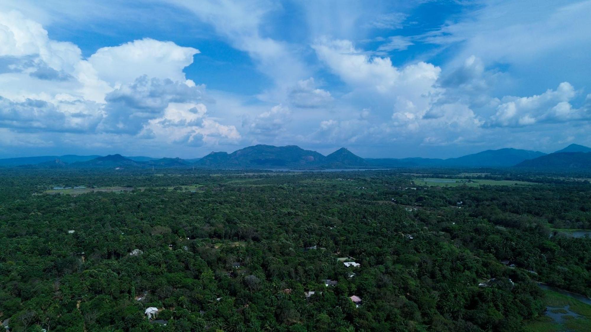 Nature'S Lake View Sigiriya Dambulla Exterior photo